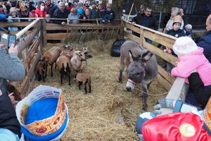 Galeria Zdjęć - 20180108_103.jpg