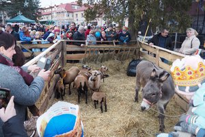 Galeria Zdjęć - 20180108_104.jpg
