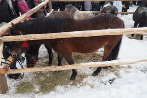 Orszak Trzech Króli w Wielopolu Skrzyńskim - 2019 - 20180112_0109.jpg