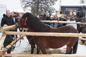 Orszak Trzech Króli w Wielopolu Skrzyńskim - 2019 - 20180112_0110.jpg