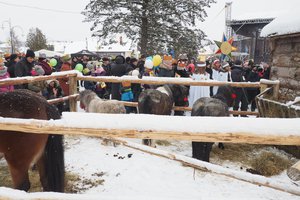 Orszak Trzech Króli w Wielopolu Skrzyńskim - 2019 - 20180112_0112.jpg