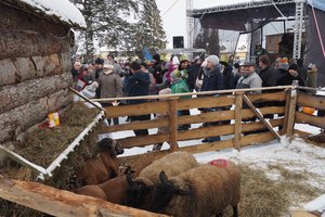Orszak Trzech Króli w Wielopolu Skrzyńskim - 2019 - 20180112_0114.jpg