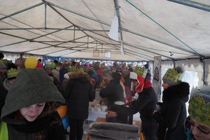 Orszak Trzech Króli w Wielopolu Skrzyńskim - 2019 - 20180112_0117.jpg