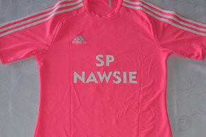 uroczyste oddanie do użytku boiska sportowego - 20180406_0001.jpg