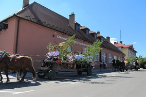Galeria Zdjęć - 1491.jpg