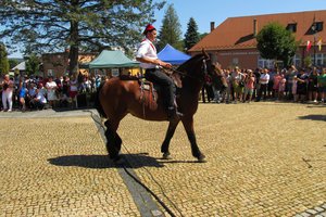 Galeria Zdjęć - 1599.jpg