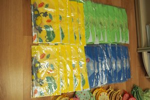 Dostawa niezbędnych tekstyliów - 10013.jpg