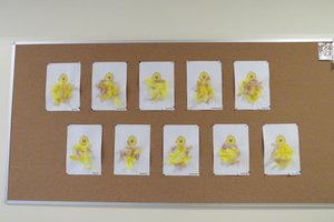 Dostawa pomocy i zabawek dydaktycznych - img_05341.jpg