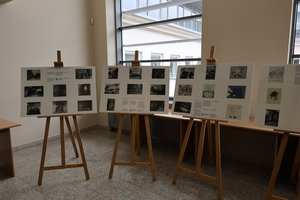 wystawa - img_07.jpg