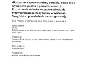 Imienny wykaz głosowań radnych - skmbt_c454e22071210140_0004.jpg