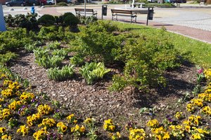 rabaty - p1011671.jpg