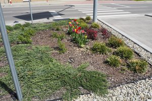 rabaty - p1011687.jpg