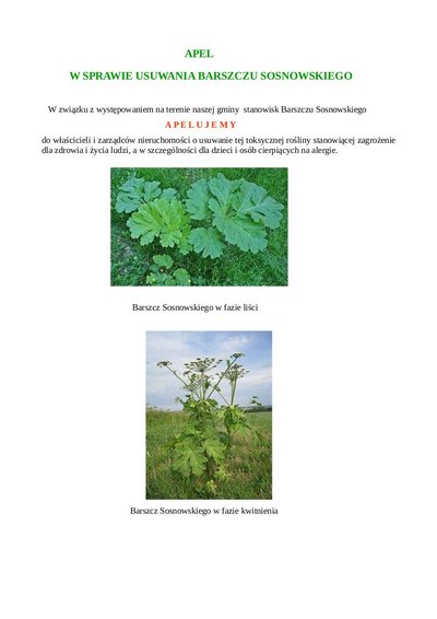 Apel w sprawie usuwania Barszczu Sosnowskiego