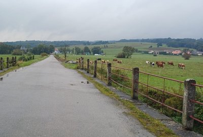 „Kompleksowa przebudowa drogi wewnętrznej nr GL 3 Glinik – Lipowiec, w km 0+000 – 0+547 oraz budowa mostu w ciągu drogi na rzece Wielopolka w miejscowości Glinik”