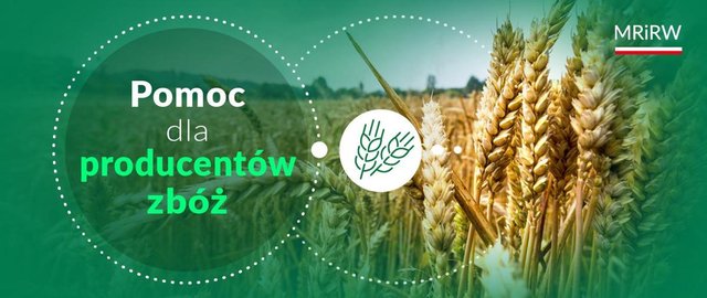 Pomoc dla producentów zbóż