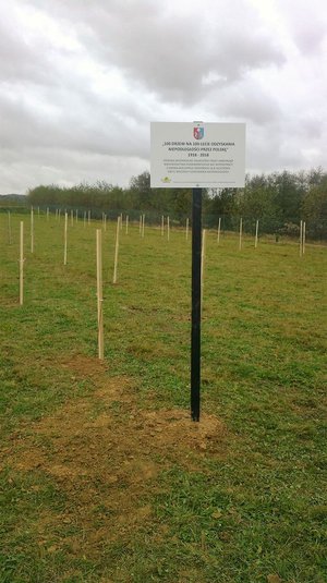 100 drzew na  100-lecie odzyskania niepodległości przez Polskę