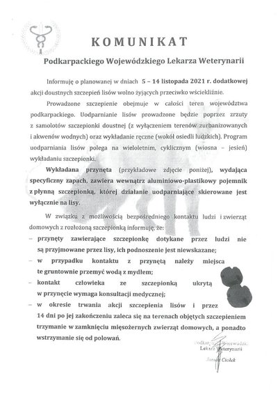 Komunikat dotyczący dodatkowej akcji doustnych szczepień lisów przeciwko wściekliźnie