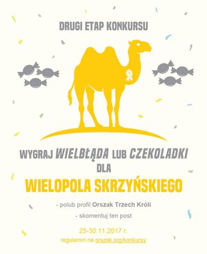 Drugi etap konkursu "Głosuj na wielbłąda!"