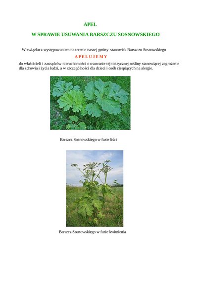 Apel w sprawie usuwania barszczu sosnowskiego