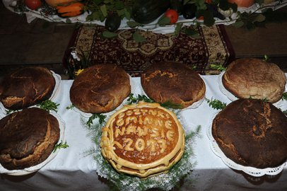 Dożynki Gminy Wielopole Skrzyńskie 2017