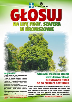 Głosuj na lipę prof. Szafera w Broniszowie !