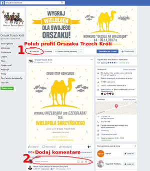 Jak oddać poprawny głos w II etapie konkursu "Głosuj na wielbłąda!"