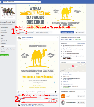 Jak oddać poprawny głos w II etapie konkursu "Głosuj na wielbłąda!"