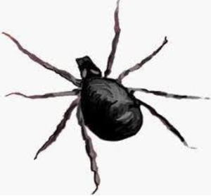 Rolniku nie daj się kleszczom