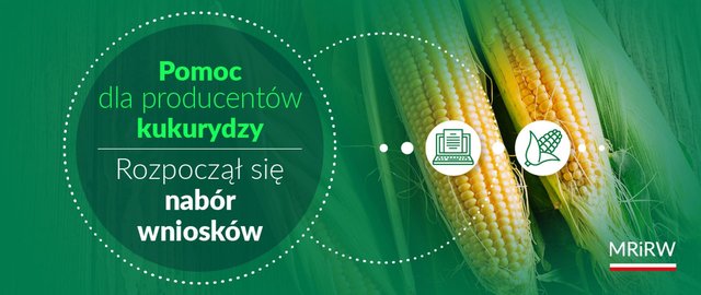 Pomoc dla rolników będących w 2023 r.  producentami kukurydzy
