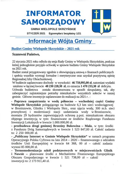 Informator Samorządowy - styczeń 2021