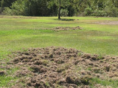 Szacowanie szkód łowieckich