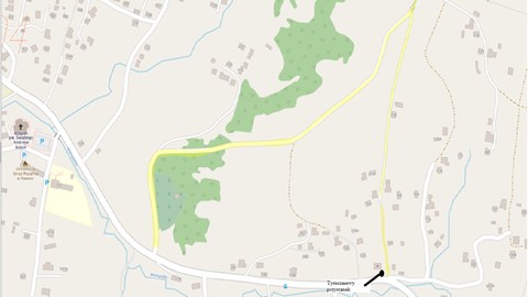 Tymczasowe przystanki - Linia L3 (Wielopole Skrzyńskie - Nawsie - Strzyżów)