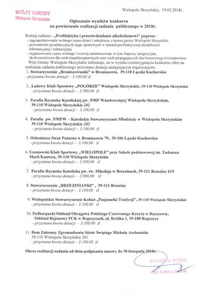 Wyniki konkursu na powierzenie realizacji zadania publicznego w 2018 r.