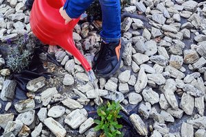 zdjęcia - img20241023105729.jpg