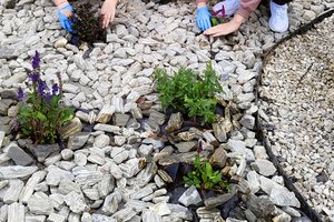 zdjęcia - img20241023105750.jpg