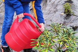 zdjęcia - img20241023105929.jpg