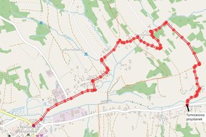 Lokalizacja tymczasowego przystanku - mapka_sytuacyjna.jpg